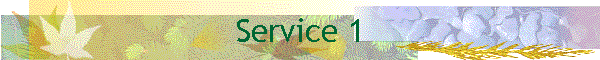 Service 1