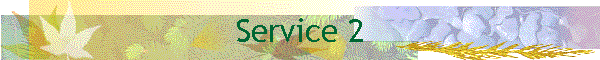 Service 2